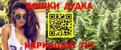 шишки Конаково