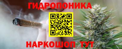 сатива Комсомольск-на-Амуре