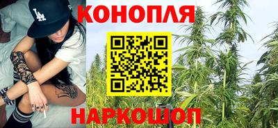 шишки Конаково