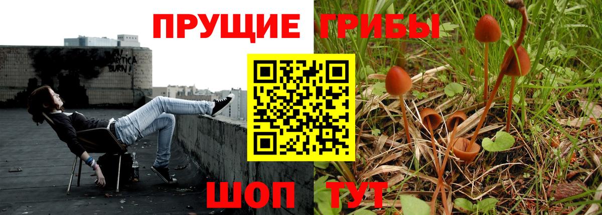 Галлюциногенные грибы прущие грибы Каменск-Уральский
