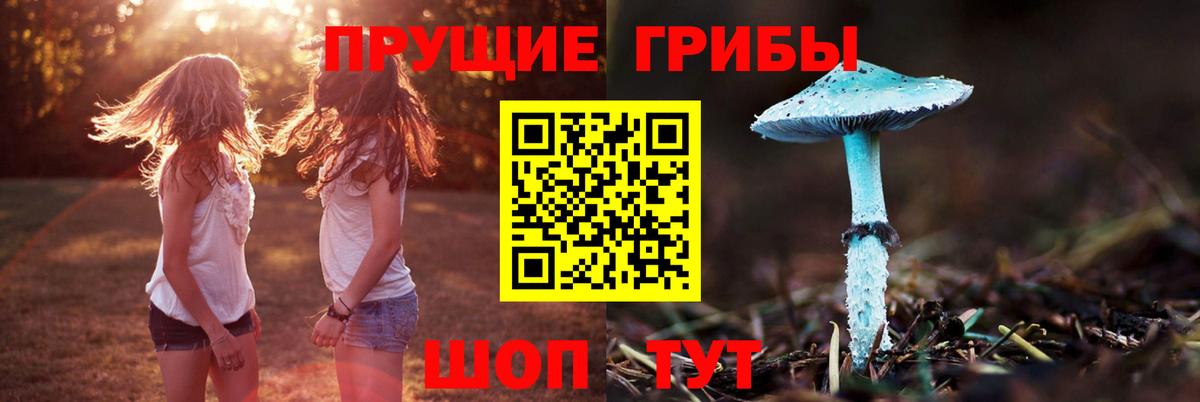 Псилоцибиновые грибы GOLDEN TEACHER  Вход с VPN  Каменск-Уральский 